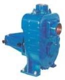 Sewage Pumps