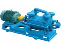 Water Ring Vacuum Pump