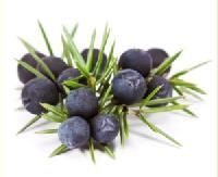 Juniper Berries