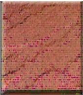 Terracota Sandstone - 2