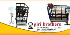 Animal Weighing