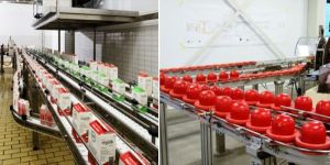 Plastic Chain Conveyor