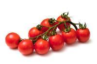 Cherry Tomato