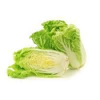 Chinese Cabbage