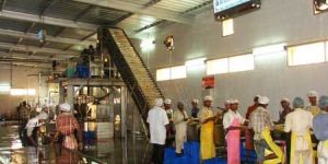 Mango Processing Plant