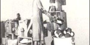 Pineapple Skin Stripper