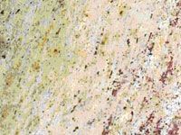 Shiva Kasi Yellow Granite