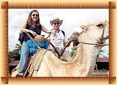 Camel Safari Tour Services