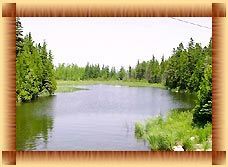 Kumarakom Tour Services