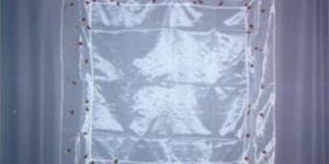 Organic Embroidery Cushion Cover