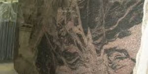 Indian Granite Slabs