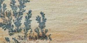 Tint Mint Natural Sandstone