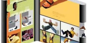 Windows for Product Display-1