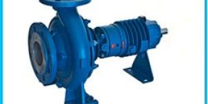 Thermic Fluid Pumps