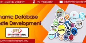 Dynamic Web Designing Services