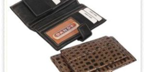 Credit Card Cases