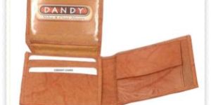 Mens Wallet
