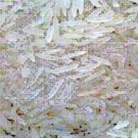 1121 Non Basmati Rice