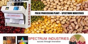 Pulse Processing Plant