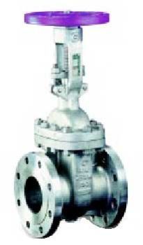 Stainless Steel Gate Valves 300