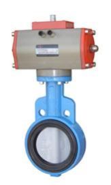 Butterfly Valve
