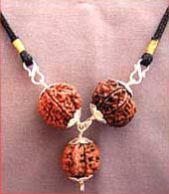 PP06 RUDRAKSHA FOR SUCCESS