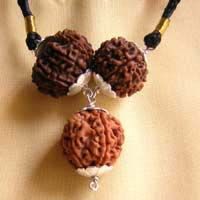 PP09 RUDRAKSHA FOR LAWYERS