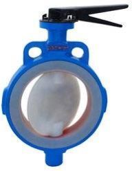 Teflon Lined Valves