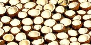 Coconut Copra