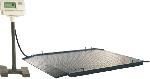 Ultra Low Profile Floor Scale