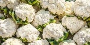 Fresh Cauliflower