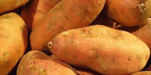 Fresh Sweet Potato