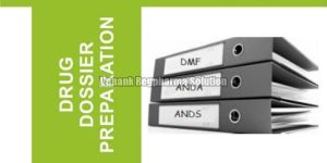 Drug Dossier Preparation Services