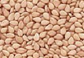 White Sesame Seeds