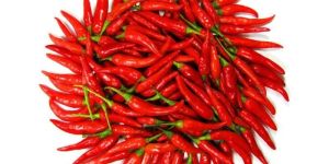 Fresh Red Chilly