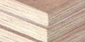 Commercial Plywood