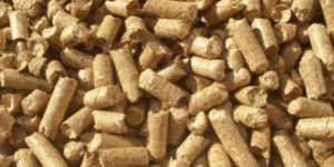 Biofuel Pellet
