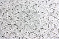 Embroidered Cotton Fabric