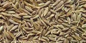 Cumin Seeds