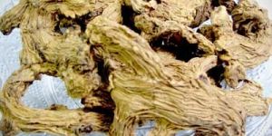 Dried Ginger