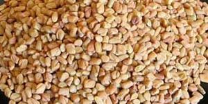 Fenugreek Seeds
