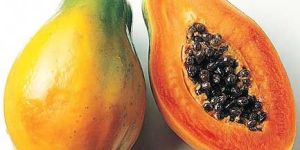 Fresh Papaya