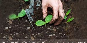 Plant Growth Promoter Supplier in Jaipur