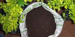 Plant Growth Promoters