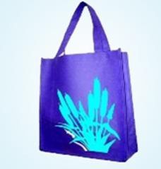 Non Woven Gift Bag