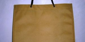 Recyclable Non Woven Gift Bag