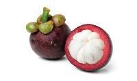 Mangosteen