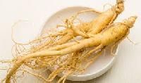 Panax Ginseng