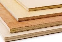 Plywood Boards