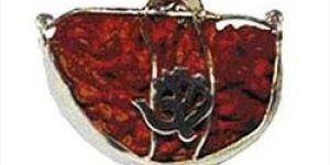 One Mukhi Rudraksha Beads